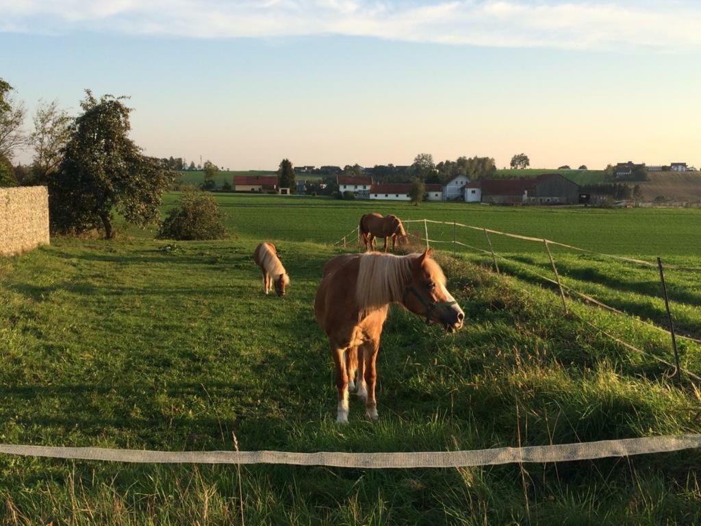 Ferienhof Loew Salzweg Eksteriør billede