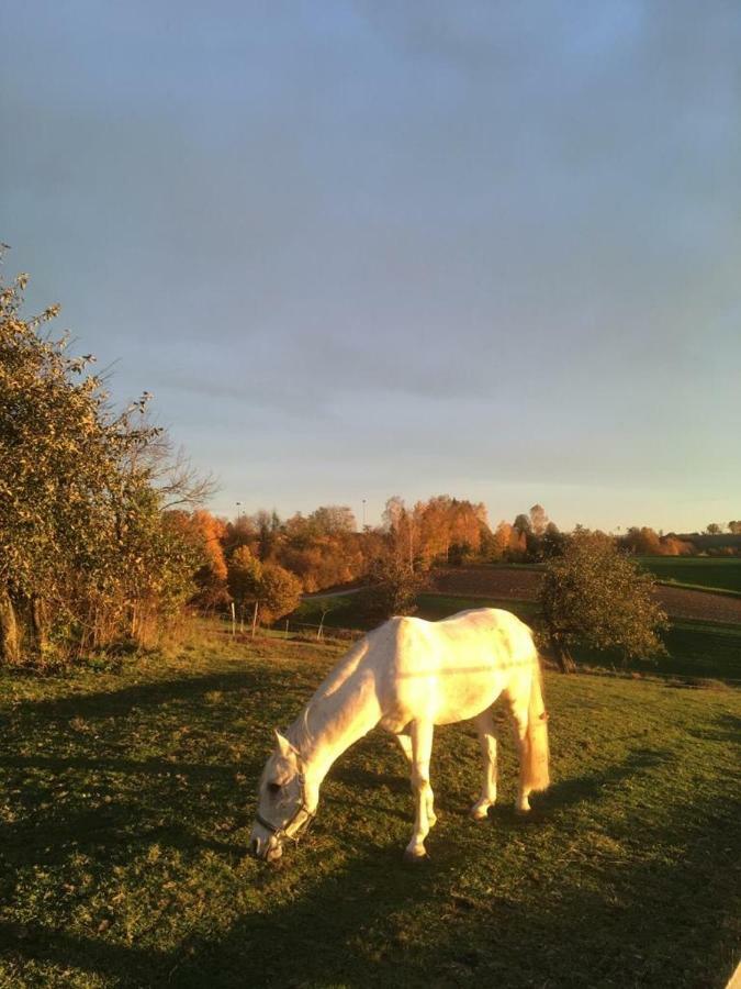 Ferienhof Loew Salzweg Eksteriør billede