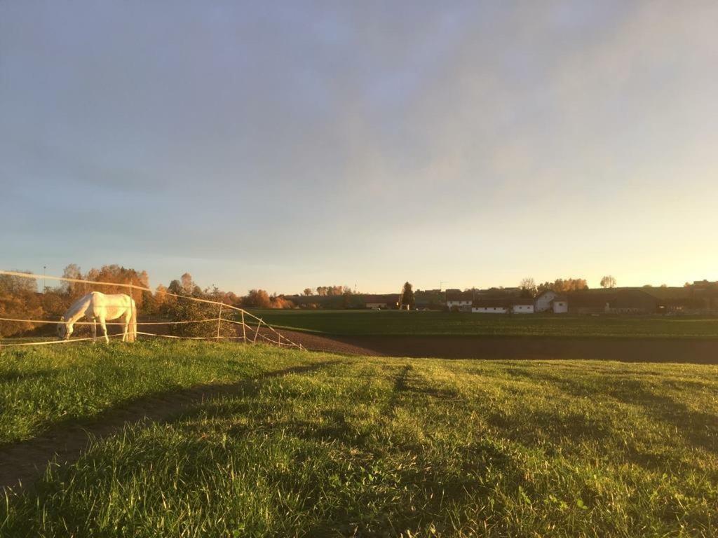Ferienhof Loew Salzweg Eksteriør billede